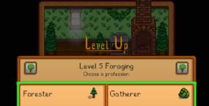 Unlocking the Foraging Crossroads: Level 5 Decisions