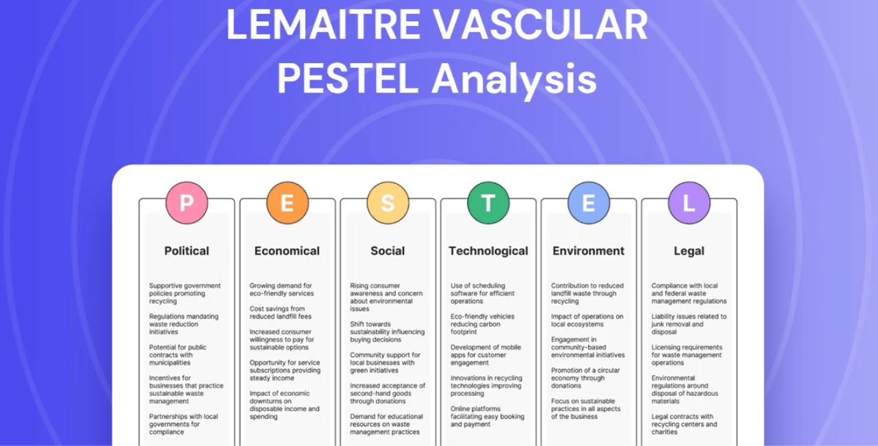 Company Background: LeMaitre Vascular's Journey in Vascular Health