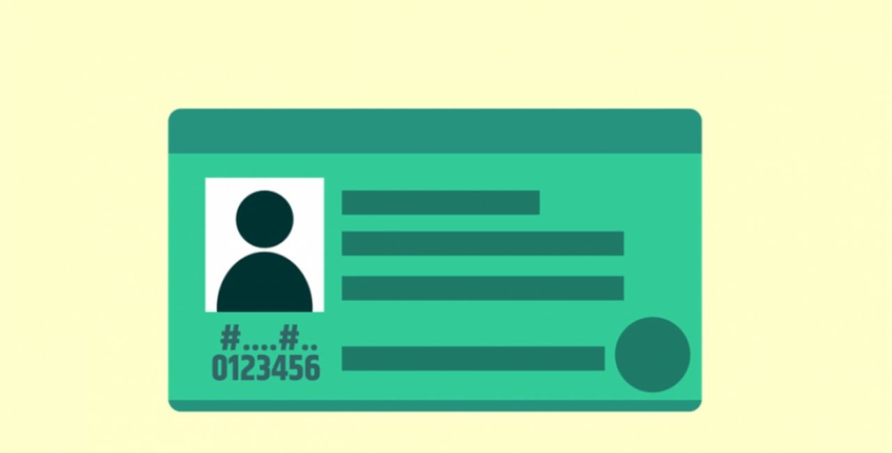 Understanding the DNIe System in Peru