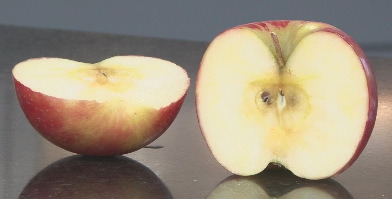 The Story Behind Honeycrisp Apples
