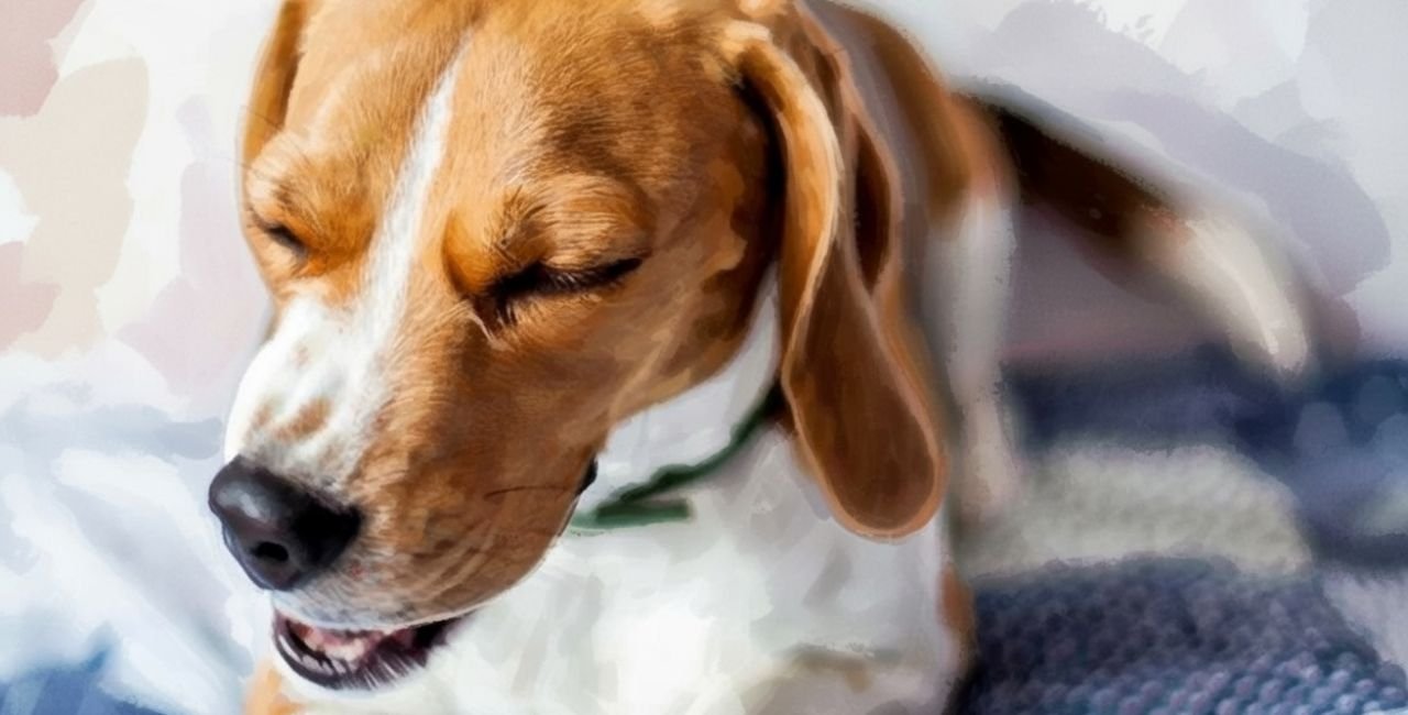 What Is Dog Reverse Coughing and Sneezing?