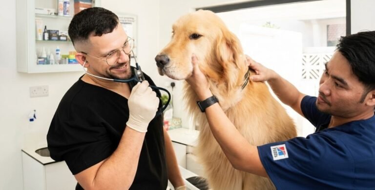 dog reverse coughing and sneezing