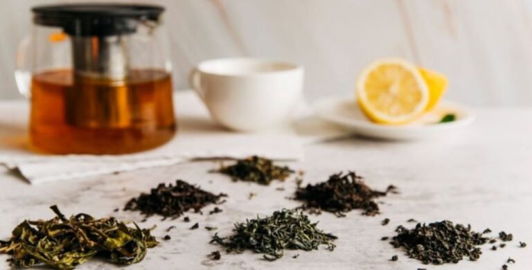 Mastering the Pangolin Passage TEAS Test: Your Ultimate Guide pangolin passage teas test