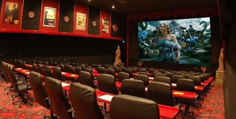 hollywood palms theater naperville illinois